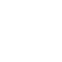 newbot.dev logo